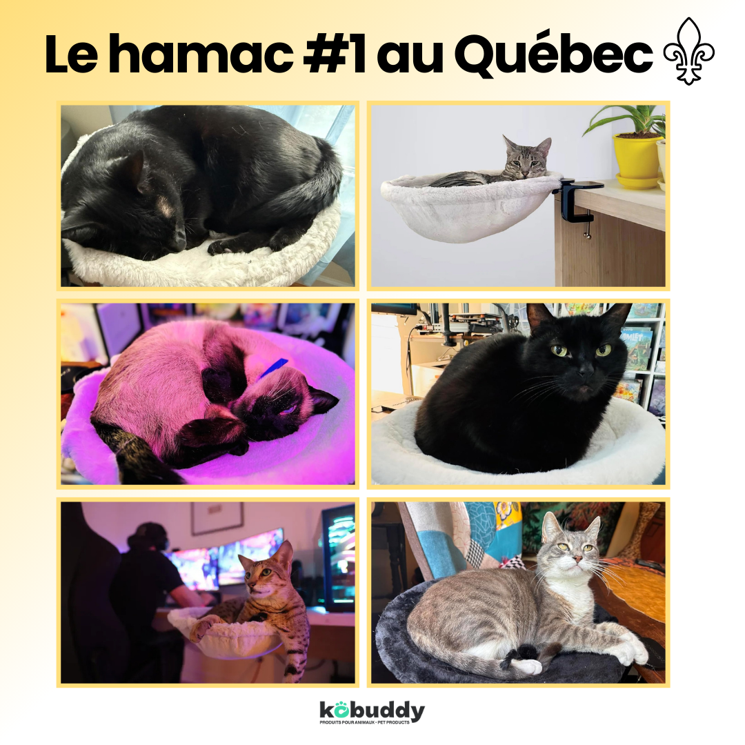 KOBUDDY - Lit de bureau pour chat