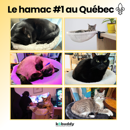 KOBUDDY - Lit de bureau pour chat