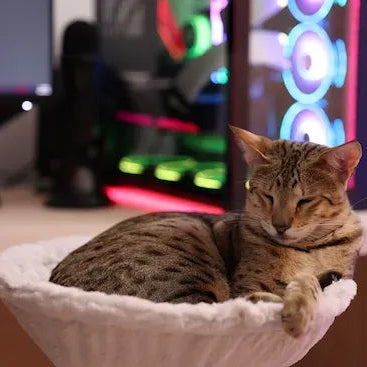 KOBUDDY - Lit de bureau pour chat