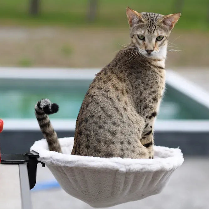 KOBUDDY - Lit de bureau pour chat