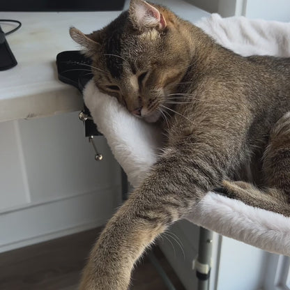 KOBUDDY - Lit de bureau pour chat